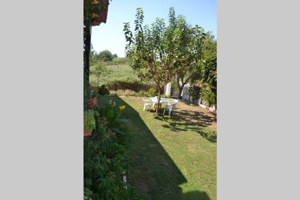 Beach House Into The Green! Preveza Exterior photo