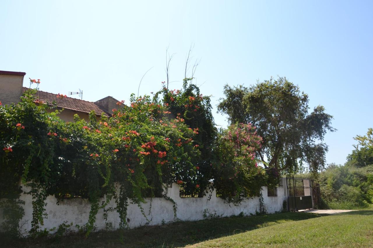 Beach House Into The Green! Preveza Exterior photo