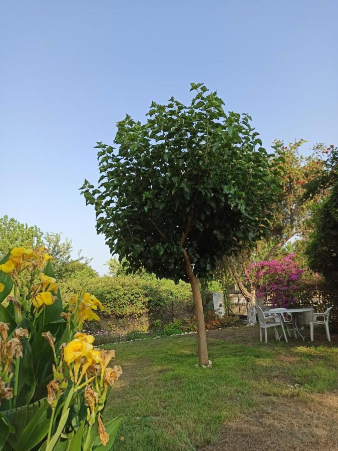 Beach House Into The Green! Preveza Exterior photo